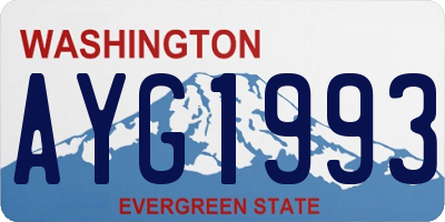 WA license plate AYG1993