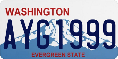 WA license plate AYG1999