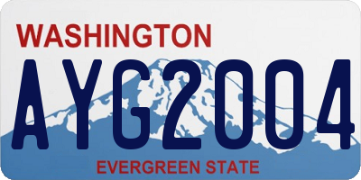 WA license plate AYG2004