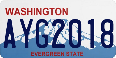 WA license plate AYG2018