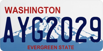 WA license plate AYG2029