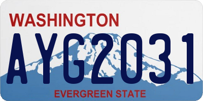 WA license plate AYG2031