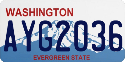 WA license plate AYG2036