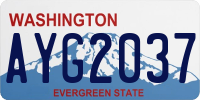 WA license plate AYG2037