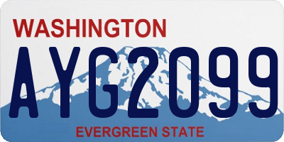 WA license plate AYG2099