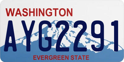 WA license plate AYG2291