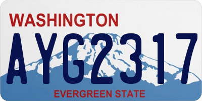 WA license plate AYG2317