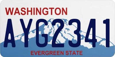 WA license plate AYG2341