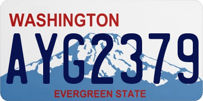 WA license plate AYG2379