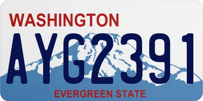 WA license plate AYG2391