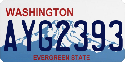 WA license plate AYG2393