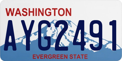 WA license plate AYG2491