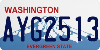WA license plate AYG2513