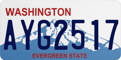 WA license plate AYG2517
