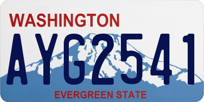 WA license plate AYG2541