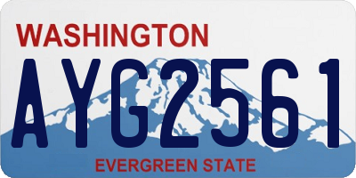 WA license plate AYG2561