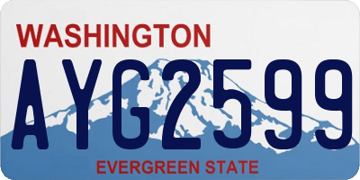 WA license plate AYG2599