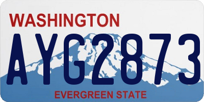 WA license plate AYG2873