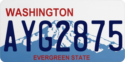 WA license plate AYG2875