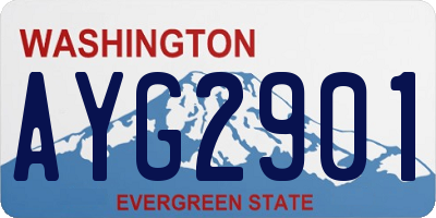WA license plate AYG2901