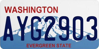 WA license plate AYG2903