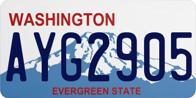 WA license plate AYG2905