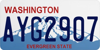WA license plate AYG2907