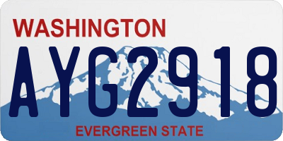 WA license plate AYG2918