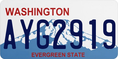 WA license plate AYG2919