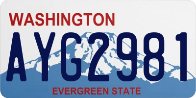 WA license plate AYG2981
