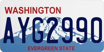 WA license plate AYG2990