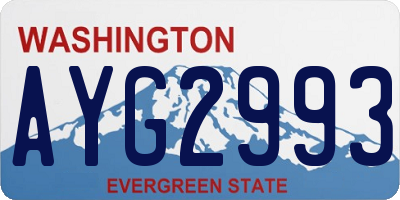 WA license plate AYG2993