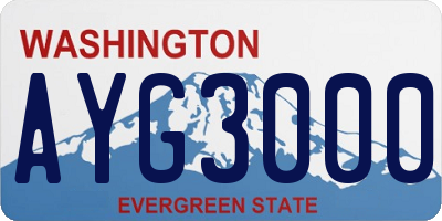WA license plate AYG3000