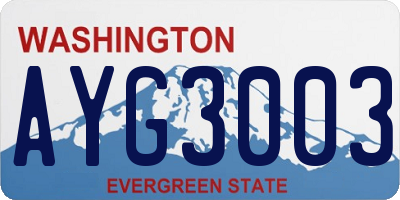 WA license plate AYG3003