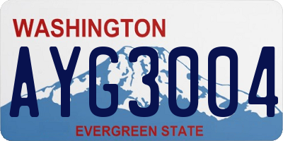 WA license plate AYG3004