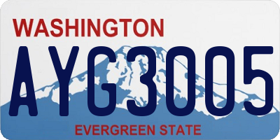 WA license plate AYG3005