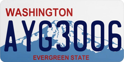 WA license plate AYG3006