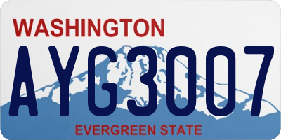 WA license plate AYG3007