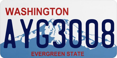 WA license plate AYG3008