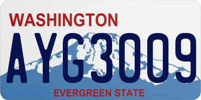 WA license plate AYG3009