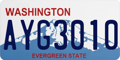 WA license plate AYG3010