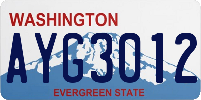 WA license plate AYG3012