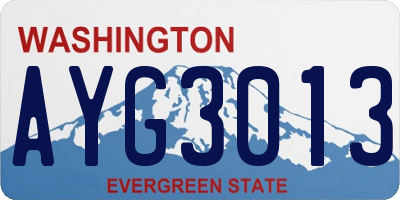 WA license plate AYG3013