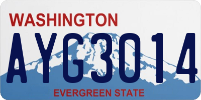 WA license plate AYG3014
