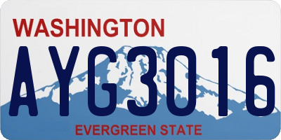WA license plate AYG3016