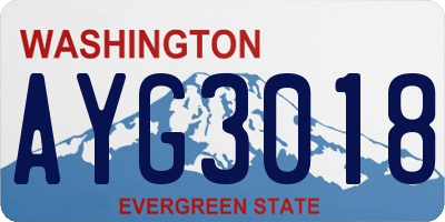 WA license plate AYG3018