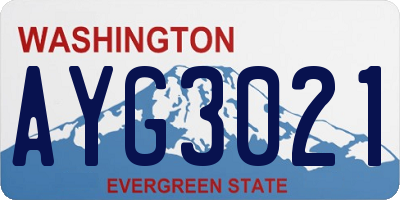WA license plate AYG3021