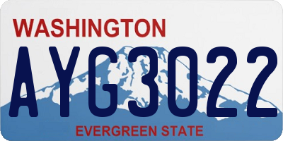 WA license plate AYG3022