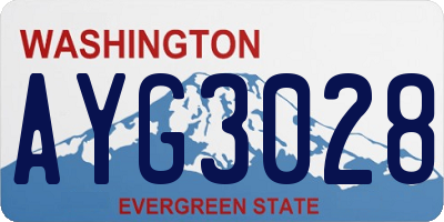 WA license plate AYG3028
