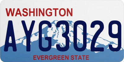 WA license plate AYG3029